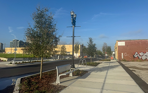 park street on a clear day—no cars